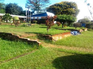 Ghost Office - decaying foundation, which is overgrown with grass and in some parts turned into flowerbeds
