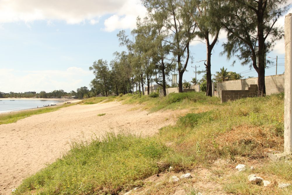 costa pemba (1)