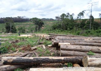 Government ‘bows out’ of Raiply concession, retains plantation land