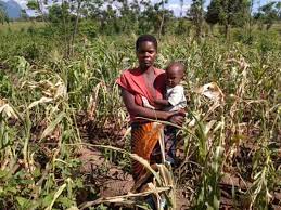 Malawi’s drought
