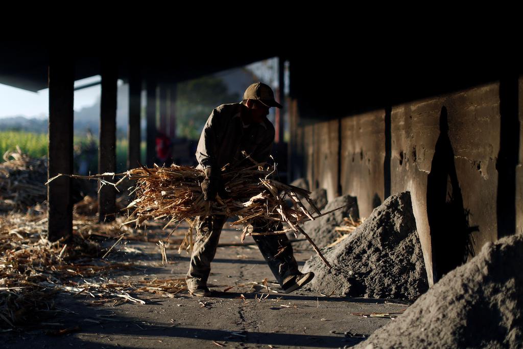Bagasse-worker-©-Alamy