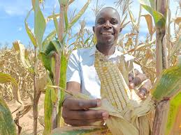 Malawi leans on Biotech to survive