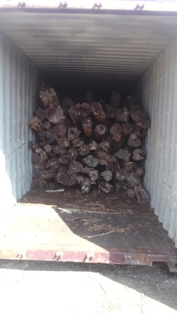 Inside one of the Containers